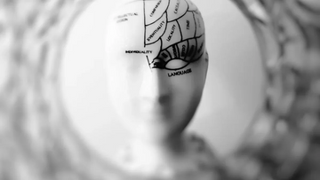 Why Neuroscience Validates the Practice of Power Manifesting